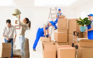 Looking For Packers Movers in Oman? Essential Things To Know